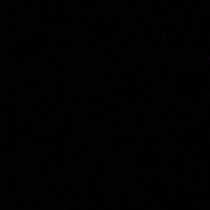 Meet your Posher, Daniela